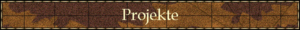 Projekte