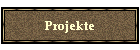 Projekte