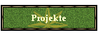 Projekte
